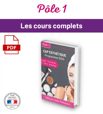 PÔLE 1 / EP1 : Techniques esthétiques du visage, des mains et des pieds - version numérique – Image 2