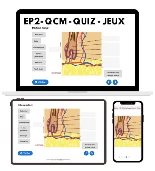 Quiz interactif EP2