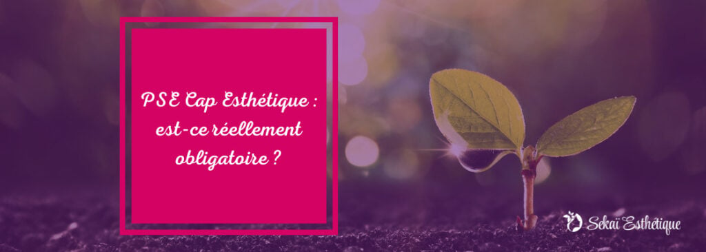 La PSE : est-ce vraiment obligatoire ?