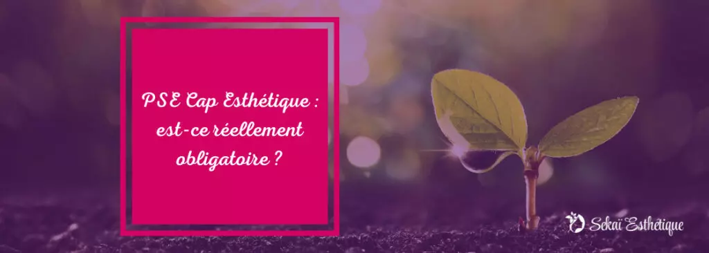 La PSE : est-ce vraiment obligatoire ?