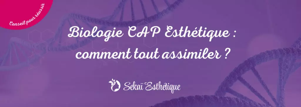 Biologie CAP Esthétique : comment tout assimiler ?