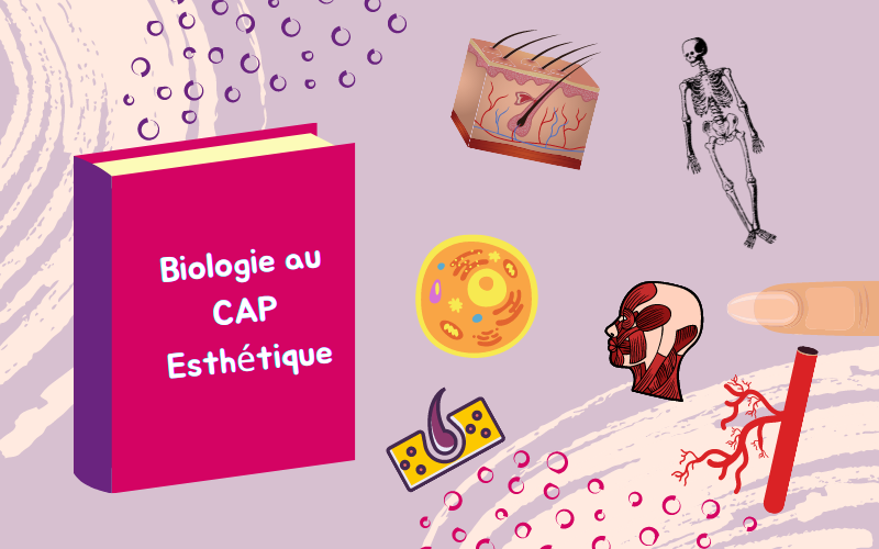 Page De Garde Biologie Esthetique