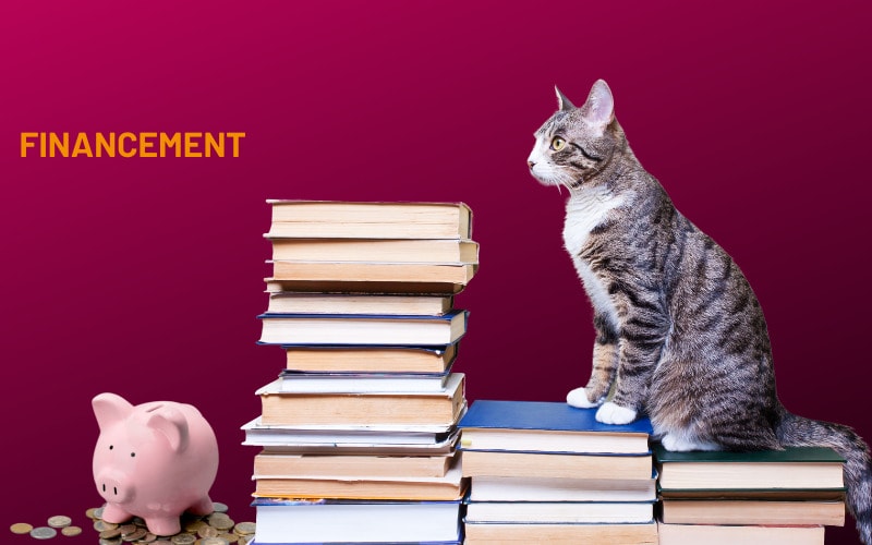 Un chat assis sur des piles de livres