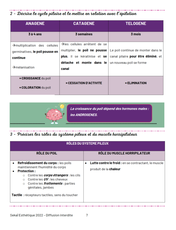 Fiches de révision : Pôle 2 – Techniques Esthétiques – Image 2