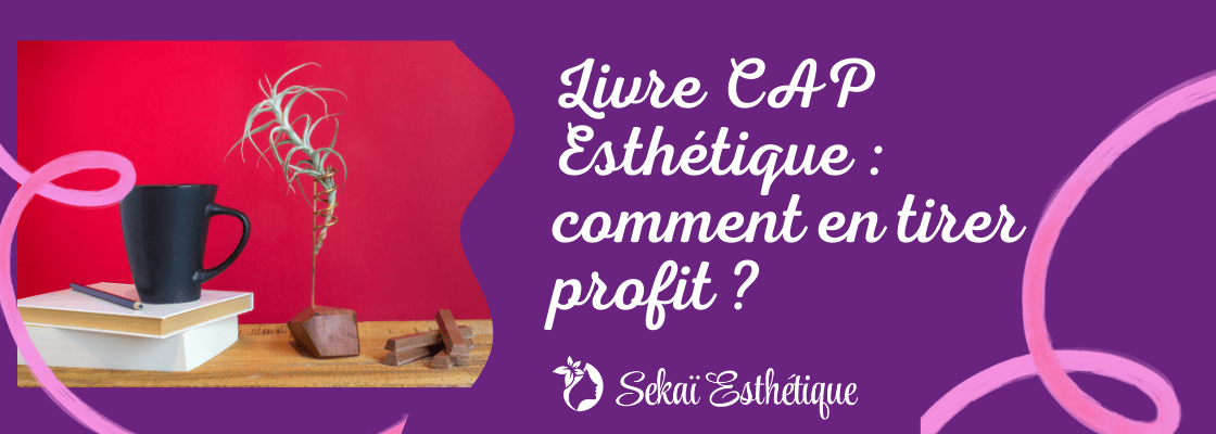 Livre L'Esthétique - 13ème édition Corrigée - Bon état
