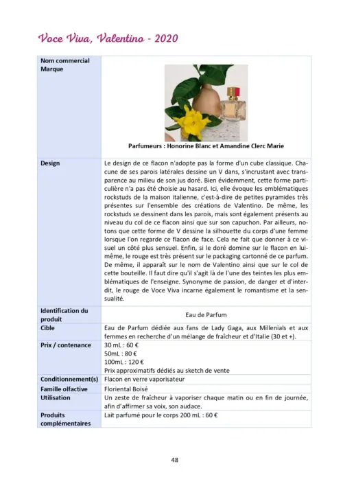 Option 5 – Préparation à l’oral de vente & au dossier de vente (EP3) – Image 2