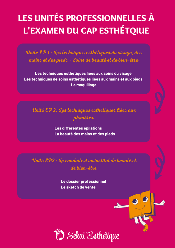 Image article 2 (1) Les unités professionnelles