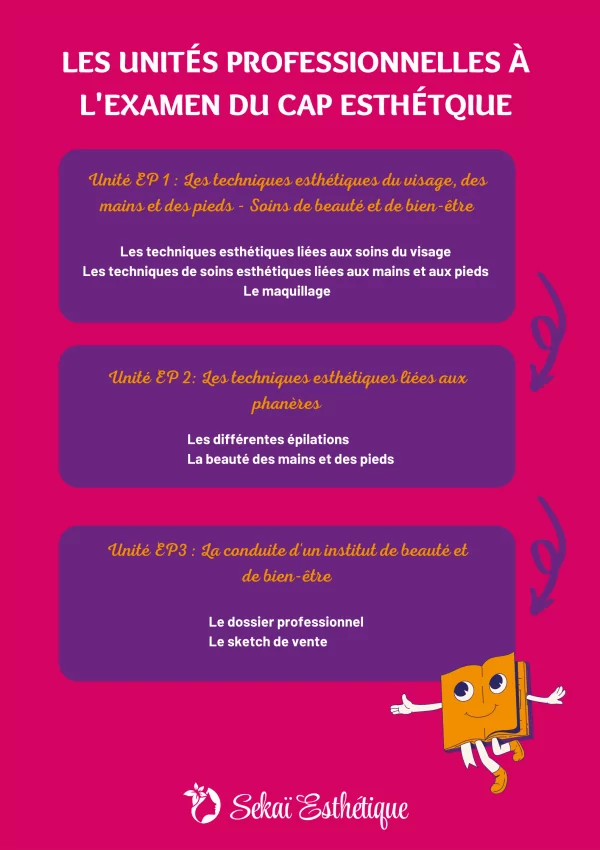 Image article 2 (1) Les unités professionnelles